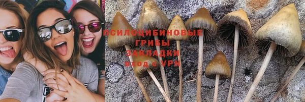 прущая мука Абинск