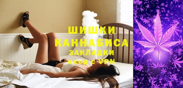 spice Абаза