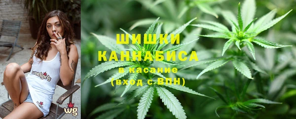 spice Абаза