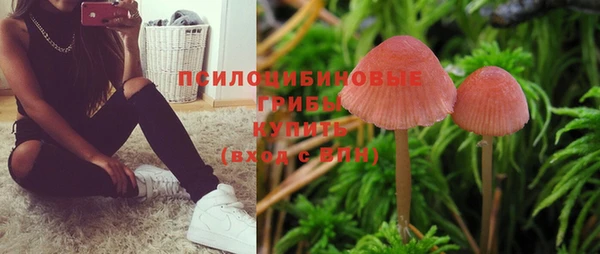 MESCALINE Лиски